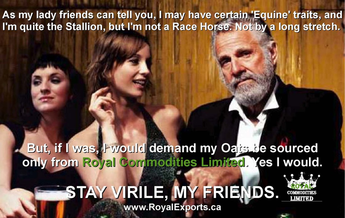 Dos Equis or Dos Equine Most interesting Man Meme by Sean Riley at SeanRileyOnline.com